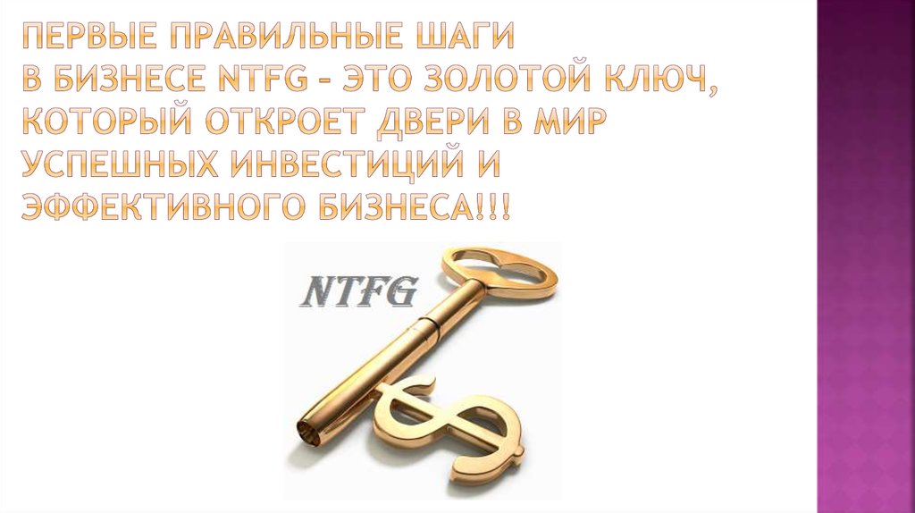 Первые правильные шаги в бизнесе NTFG – это золотой ключ, который откроет двери в мир успешных инвестиций и эффективного