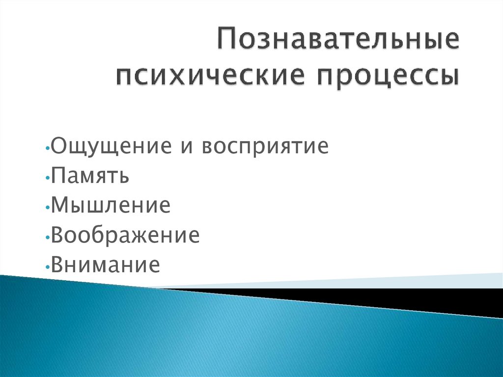 Познавательные психические процессы