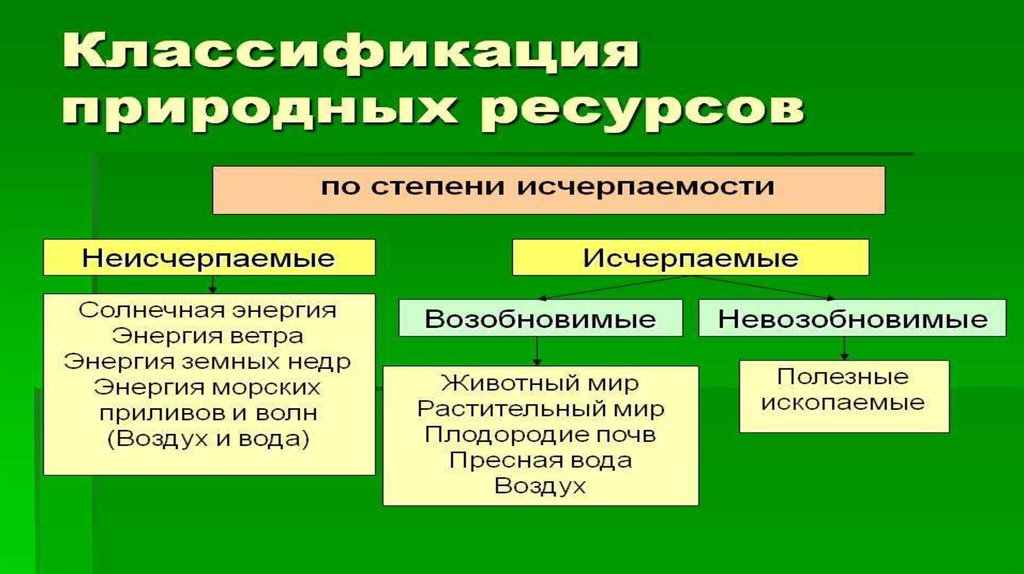 Современные проблемы охраны природы презентация