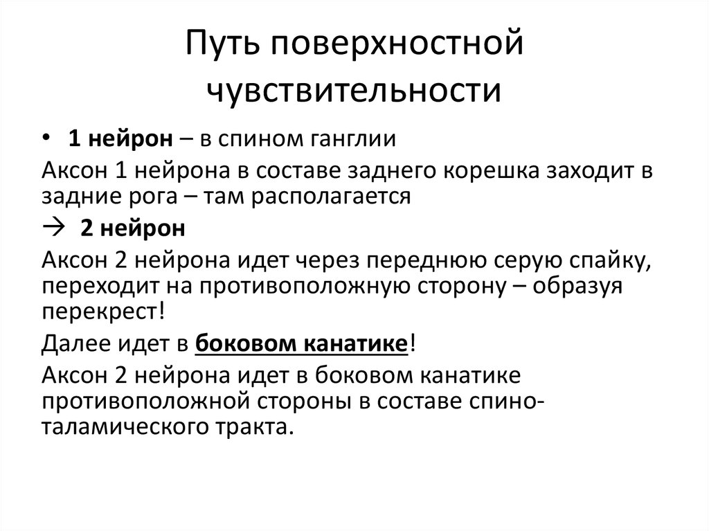 Поверхностные пути