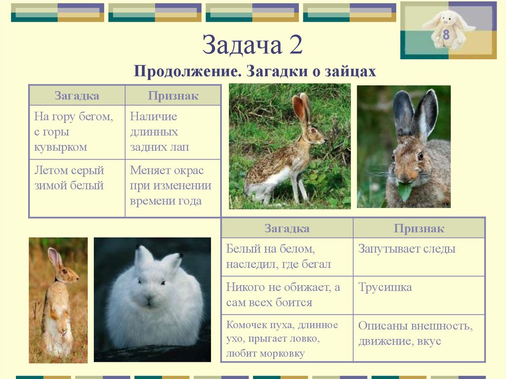 Заяц подобрать прилагательное. Загадка про зайца. Загадки про Зайцев. Загадка про кролика. Загадка про зайку.