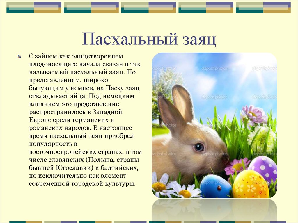Почему кролик символ пасхи. Заяц символ Пасхи. Почему заяц символ Пасхи. Стихи Пасхальный заяц. Почему на Пасху кролик символ Пасхи.