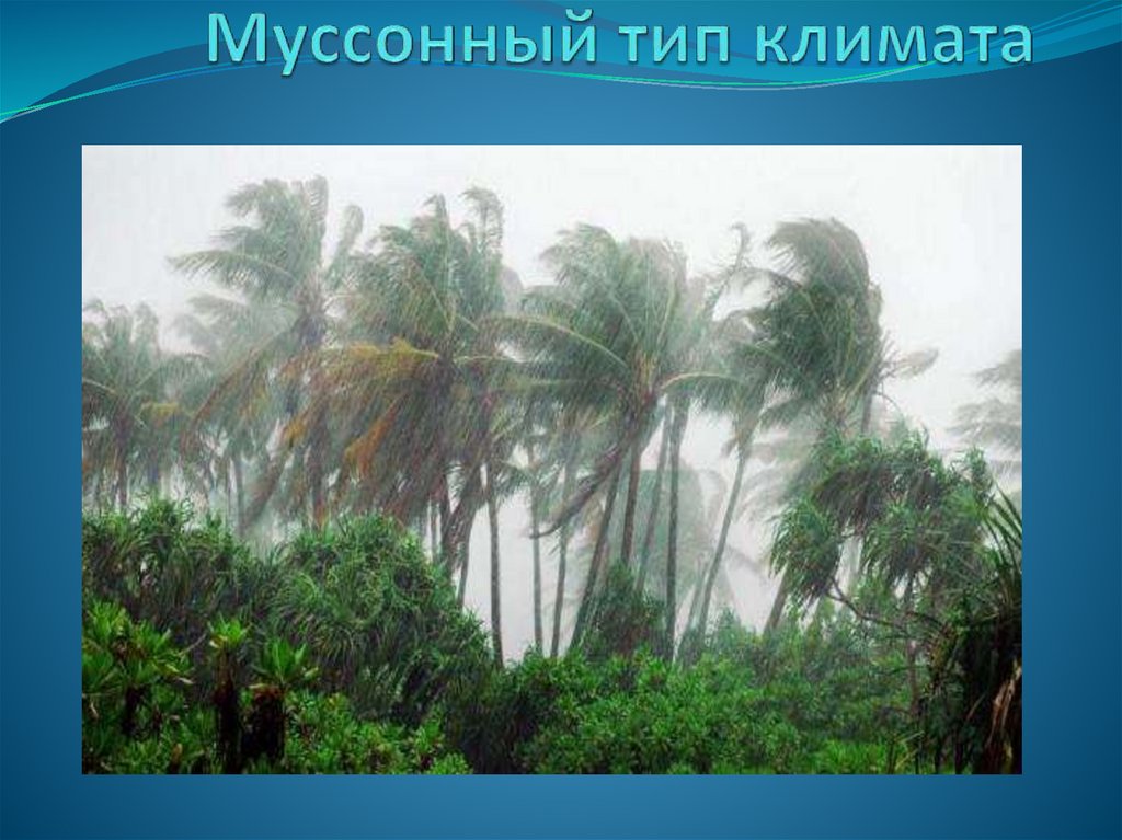 Район распространения муссонного климата. Тропические Муссоны. Муссонный Тип климата. Тропический муссонный пояс. Муссонный Тип климата Дальний Восток.