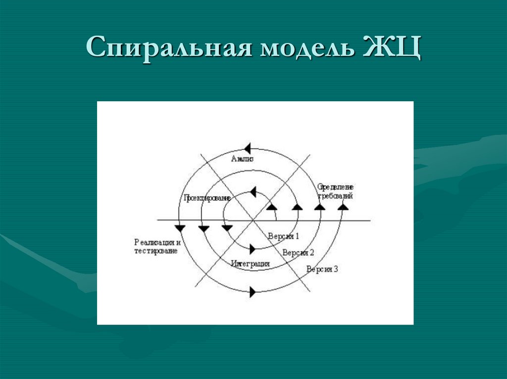 В спиральной модели жизненного цикла проекта используются итерации выберите один ответ верно неверно