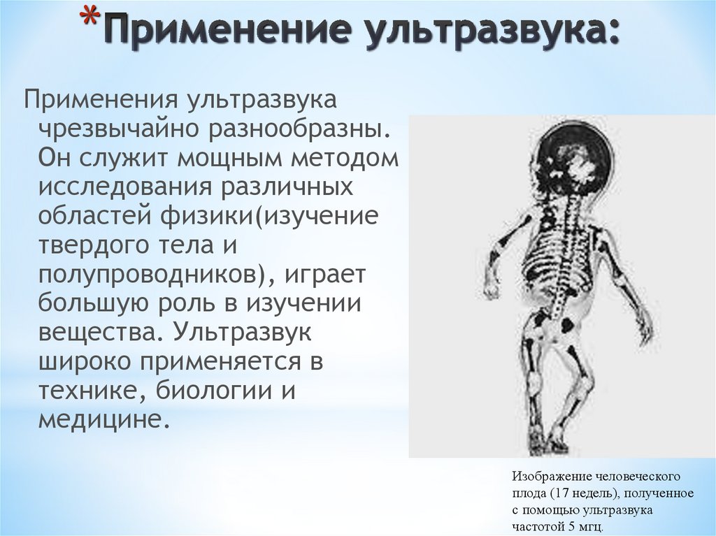 Применение ультразвука. Применение ультразвука в биологии. Ультразвук в природе и технике. Ультразвук применение в технике и природе. Применение ультразвука в природе.