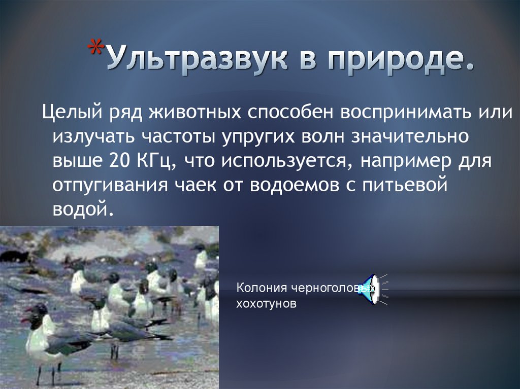 Ультразвук физика презентация