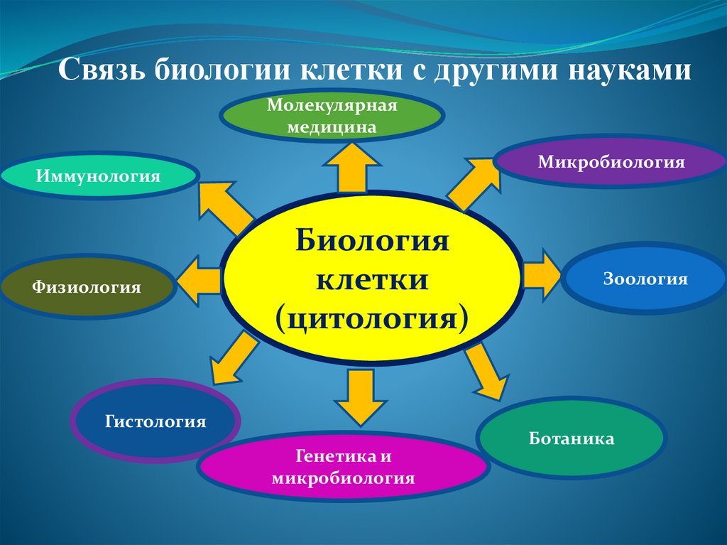 Связь биологии. Связь медицины с другими науками. Связь биологии с медициной. Взаимосвязь медицины с разными науками. Связь биологии с другими.