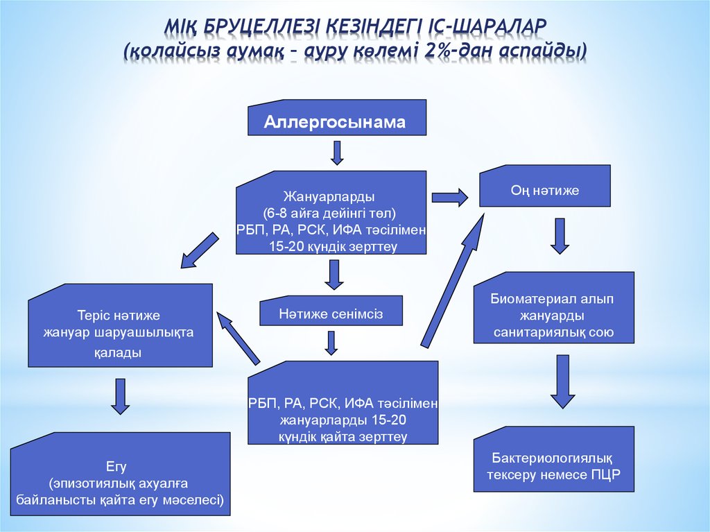 Адам геномы жобасы презентация