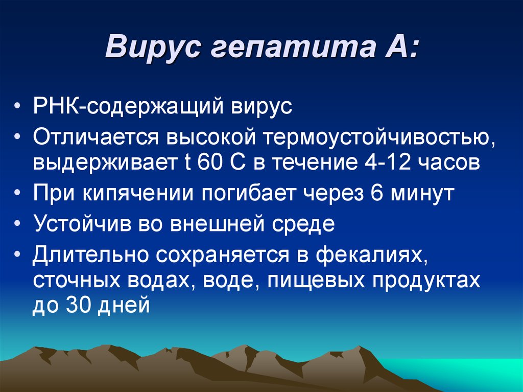 Вирус гепатита А: