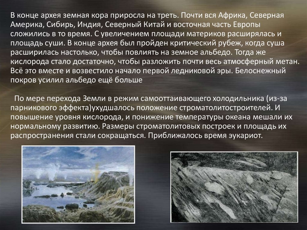 Признаки архей. Архей характеристика. Архей характеристика эры. Когда были эры Архей. Археи особенности организации.