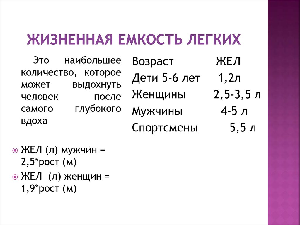 Жизненная емкость складывается из