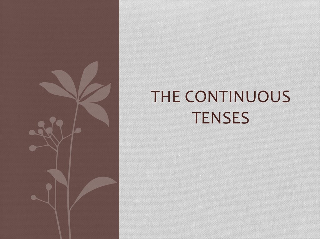 The Continuous Tenses