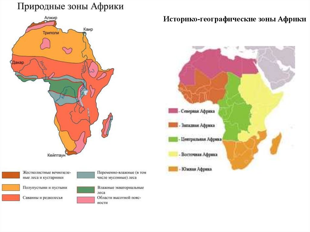 Презентация африка природные зоны