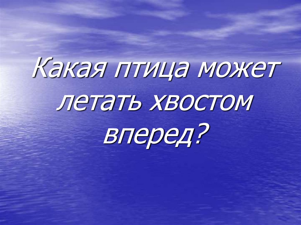 Какая птица может летать хвостом вперед