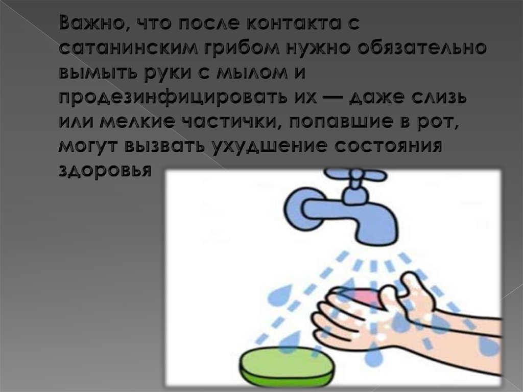 Важно, что после контакта с сатанинским грибом нужно обязательно вымыть руки с мылом и продезинфицировать их — даже слизь или
