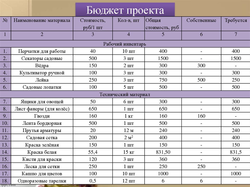 Проект школьный бюджет