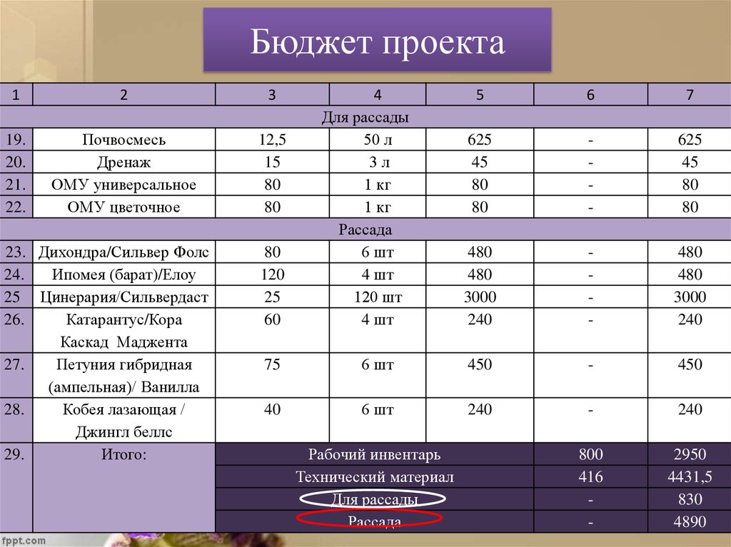 Школьное бюджетирование проект. Бюджет проекта. Школьный бюджет проект. Бюджет проекта на Грант.