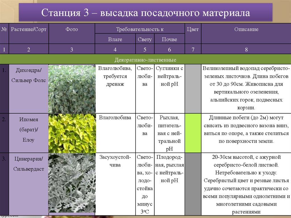 Характеристика материалов проект