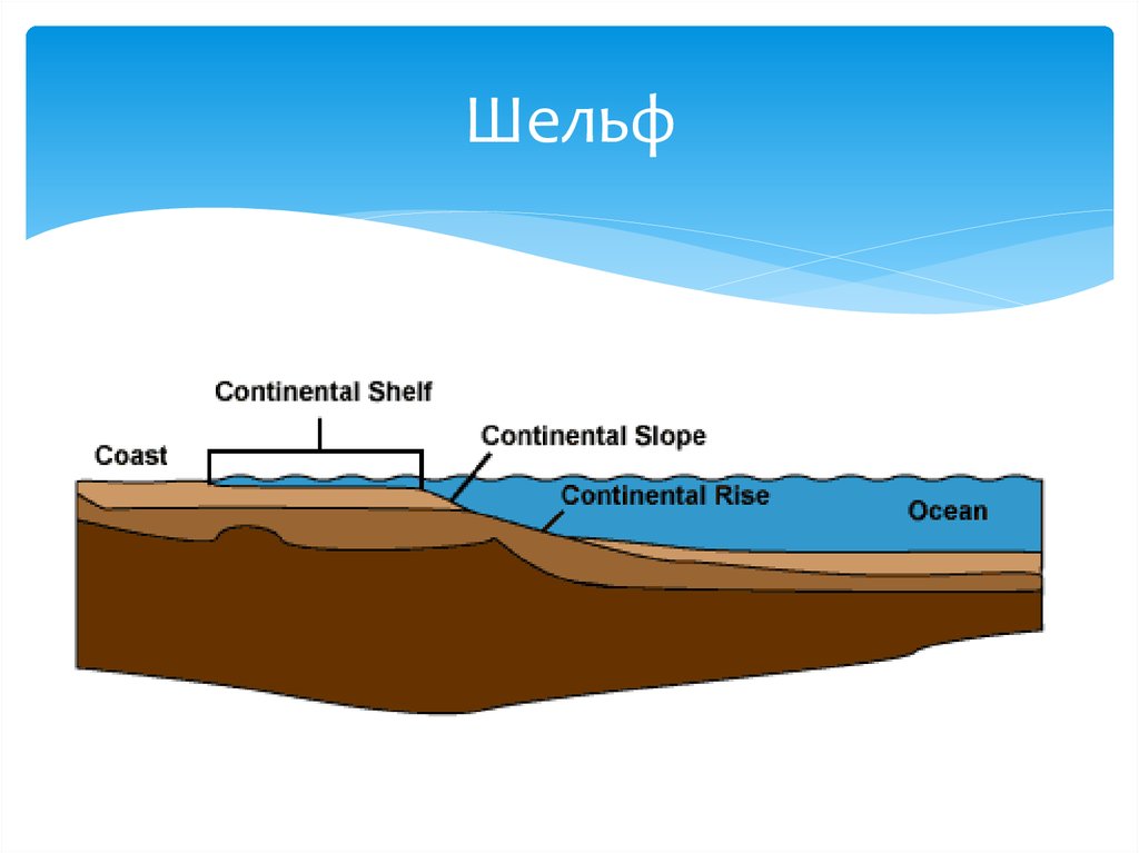 Шельф это. Материковая отмель шельф. Шельф и материковый склон. Континентальный склон океана. Шельф рисунок.