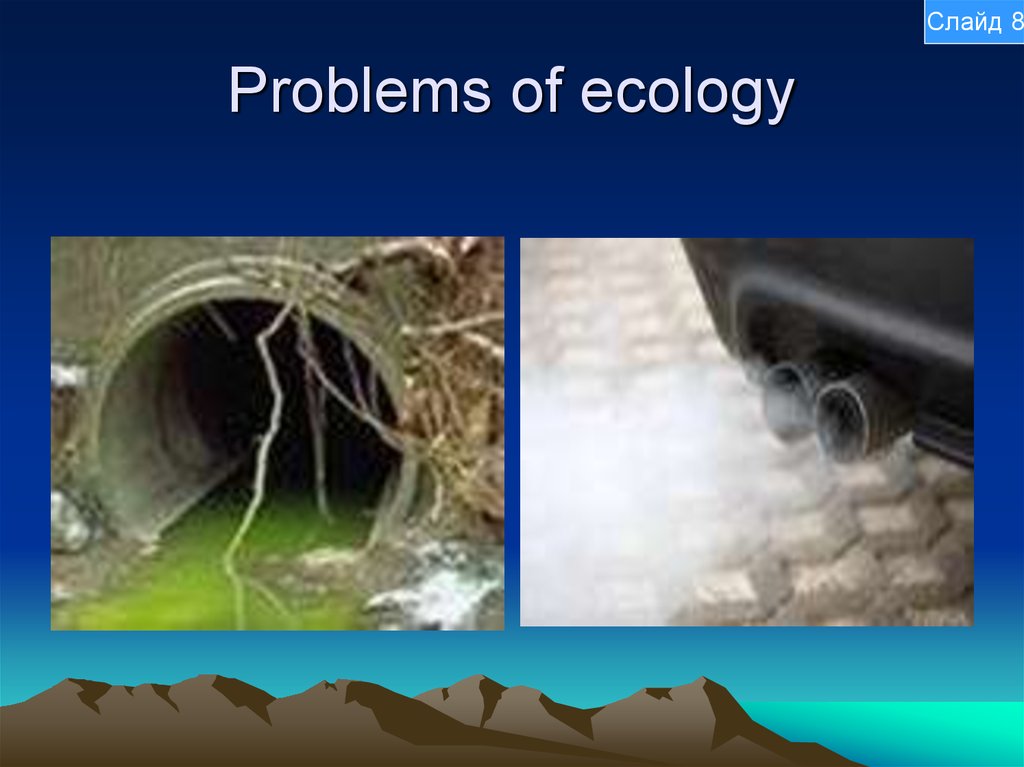 Problems of ecology