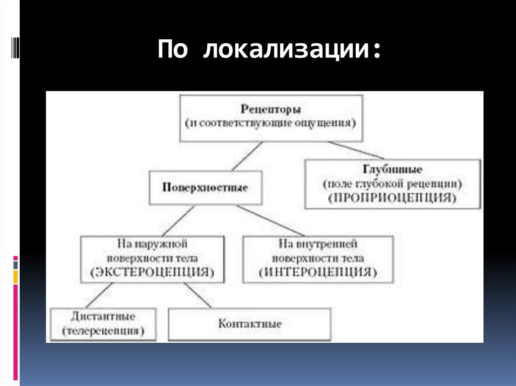 По локализации: