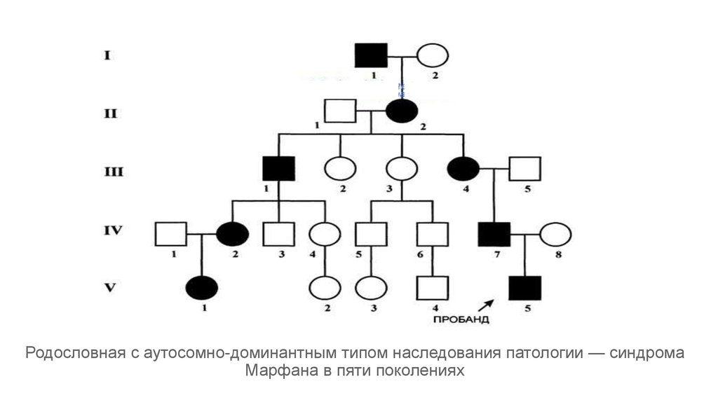 По схеме родословной определите тип наследования