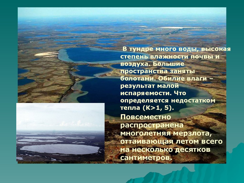 Урок 8 класс тундра. Воды тундры. Внутренние воды тундры в России. Водные ресурсы тундры. Воды тундры и лесотундры.