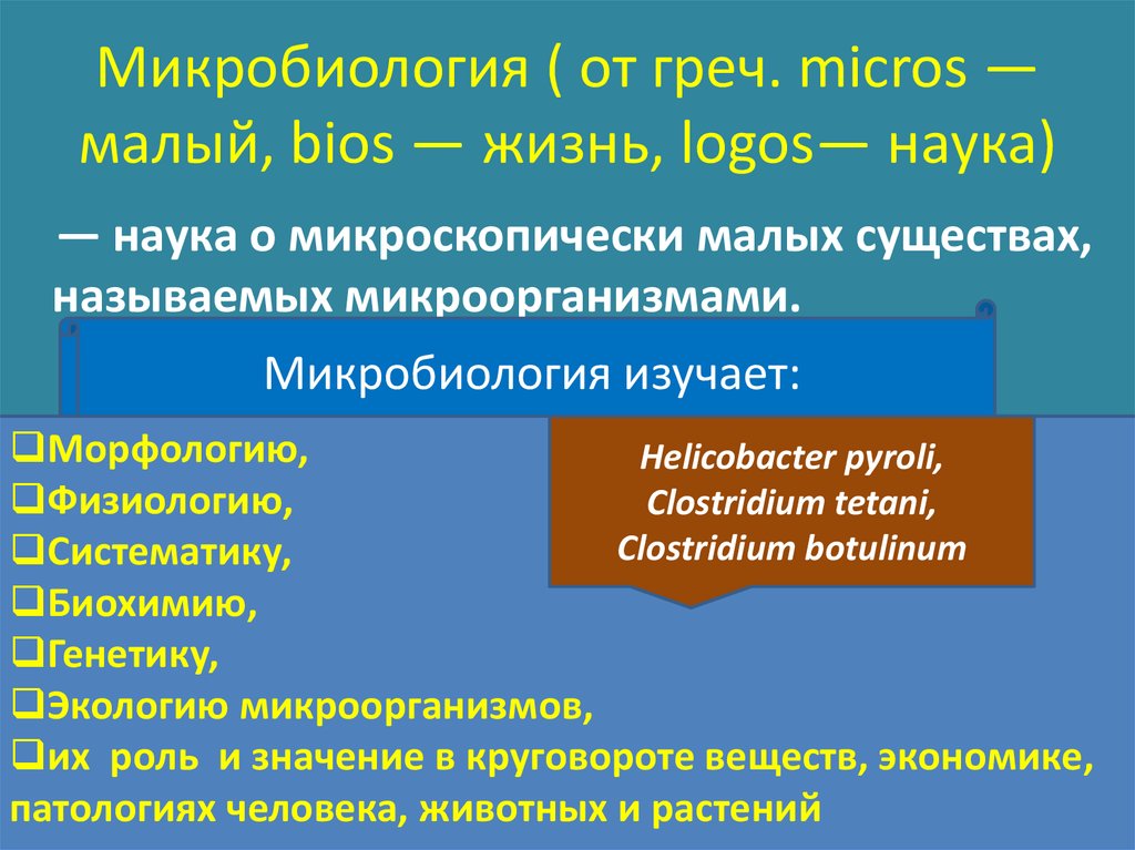 Микро малое. Введение в микробиологию. Конкуренция микробиология. Морская микробиология изучает. К ИБП относятся микробиология.