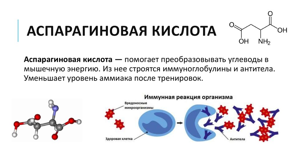 Для чего нужны кислоты. Аспарагин аминокислота. Аминокислота аспарагиновая кислота формула. Аспарагиновая аминокислота формула. Аспарагиновая кислота биохимия.