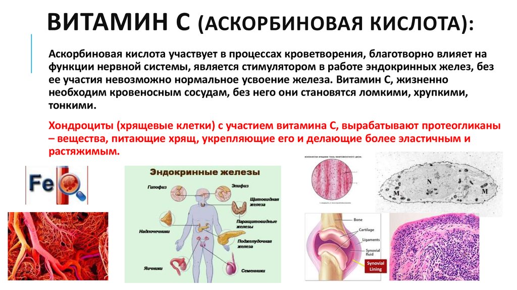 Микроэлемент участвующий в кроветворении