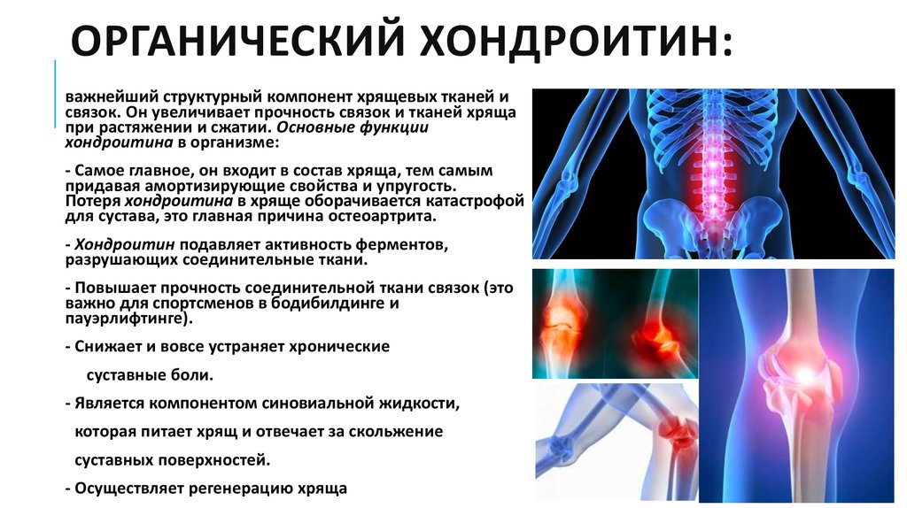 Функция хрящей в организме человека. Суставы глюкозамин и хондроитин для презентации. Хондроитин роль в организме. Функция хондроитина в организме человека. Хондрозин биологическая роль.