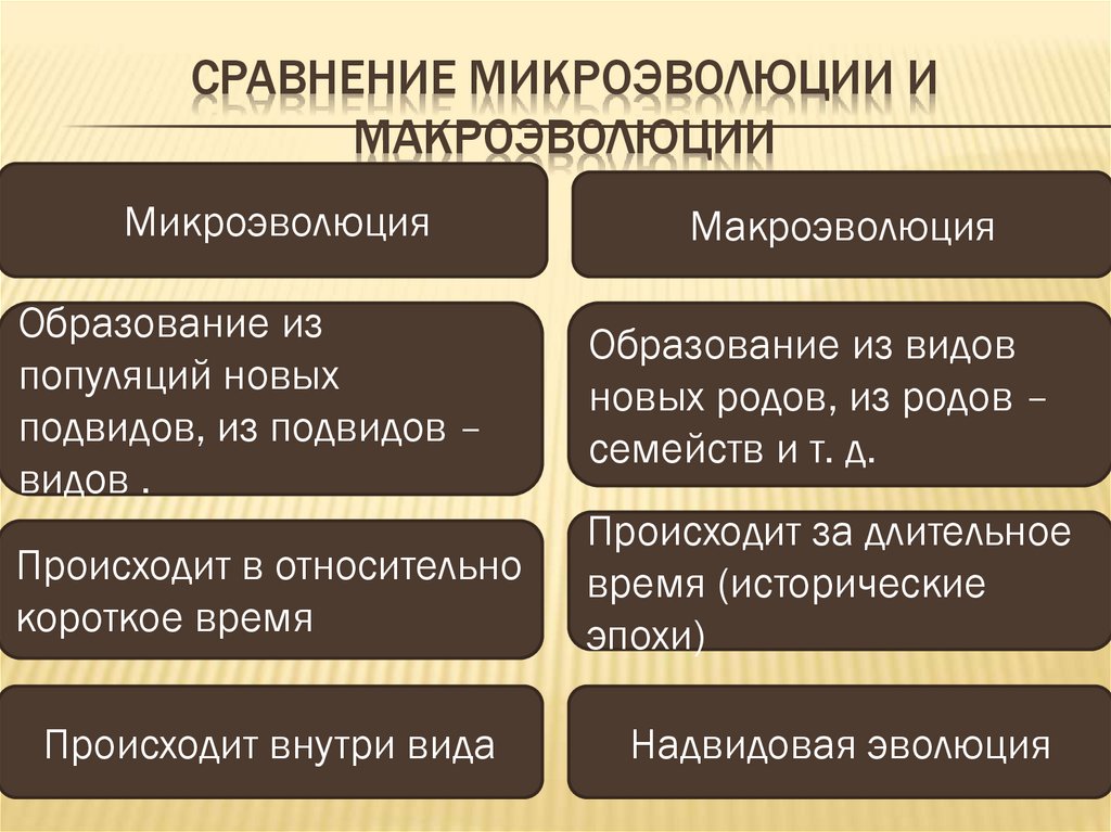 Макроэволюция как процесс появления надвидовых групп организмов презентация 9 класс пономарева