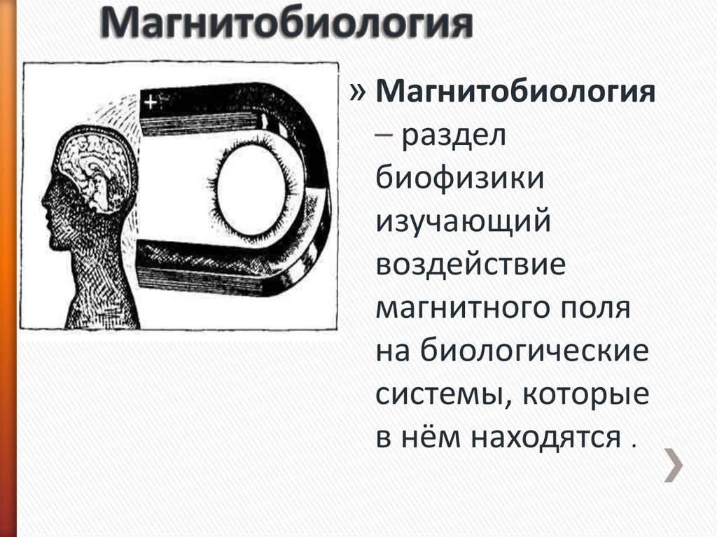 Магнитное поле в медицине презентация