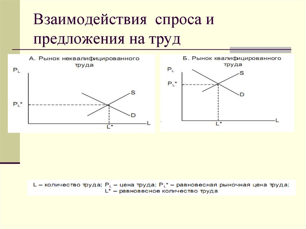 Взаимосвязь спроса и предложения