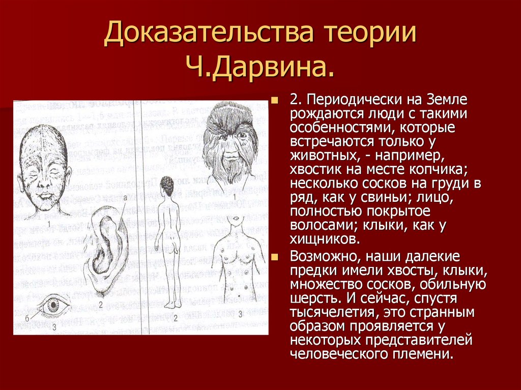 Теоретическое доказательство