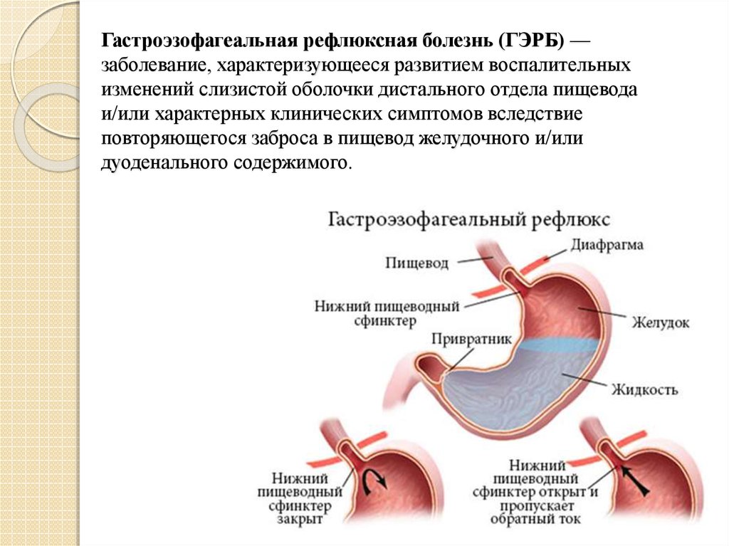 Презентация на тему гэрб