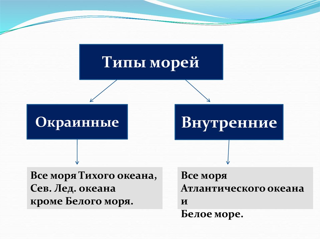 Основные типы морей