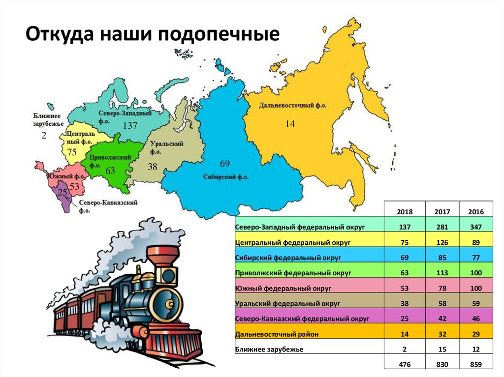 Откуда наши подопечные