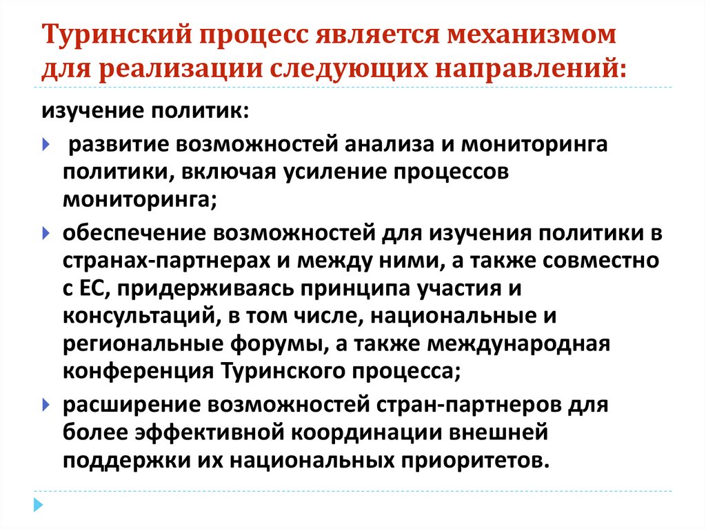Туринский процесс является механизмом для реализации следующих направлений: