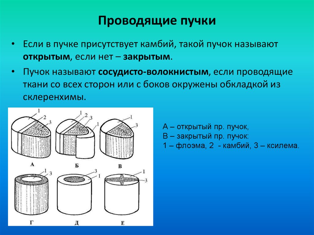 Закрытые проводящие