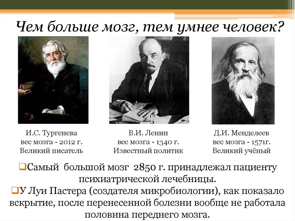 Мозги тургенева. Вес мозга Тургенева. Тургенев мозг самый большой. Мозг Тургенева весил. Масса мозга Ленина.