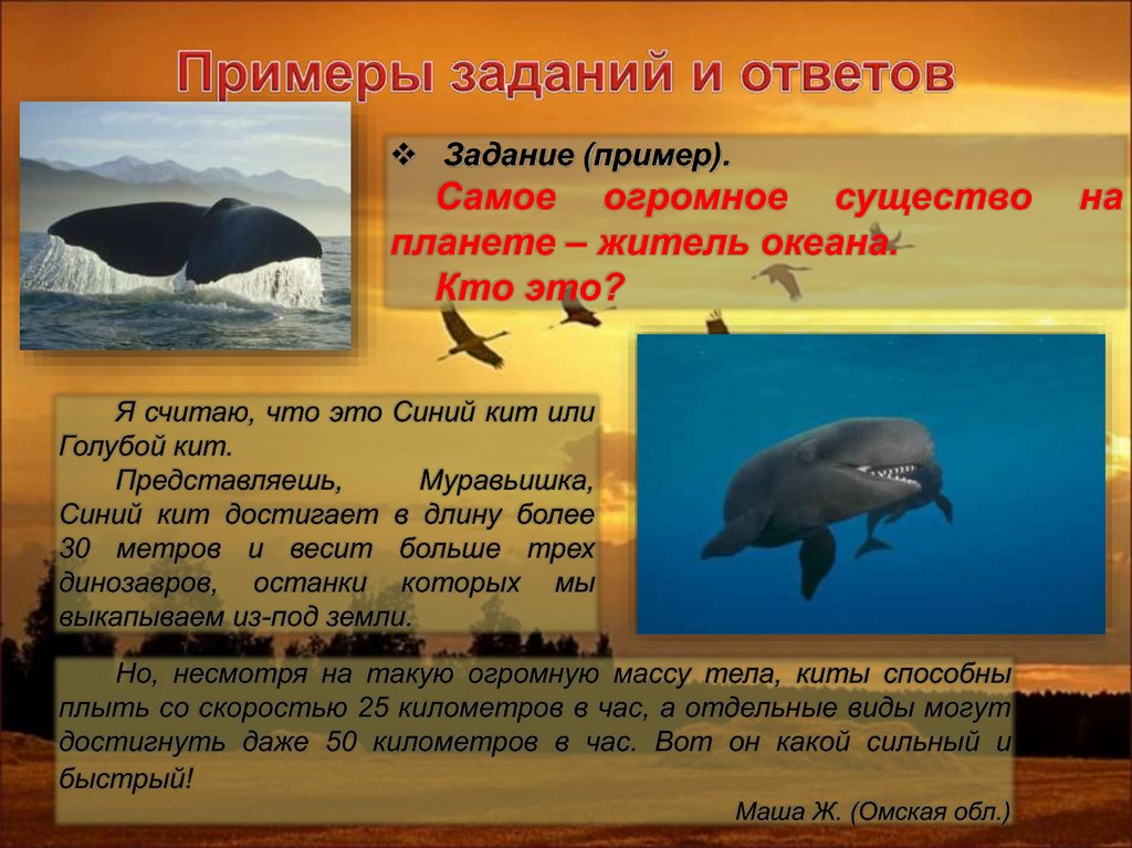 Примеры заданий и ответов