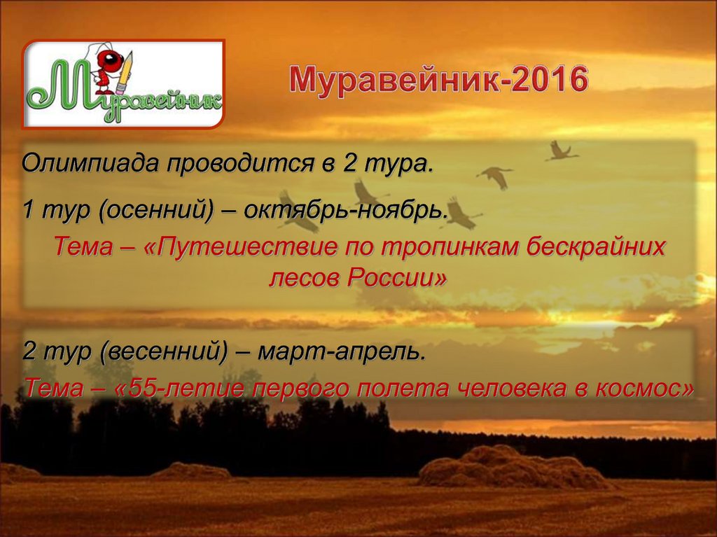 Муравейник-2016
