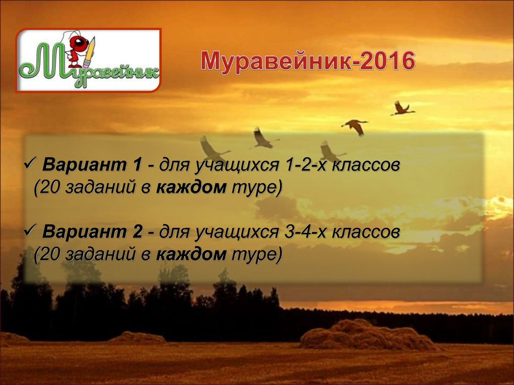 Муравейник-2016
