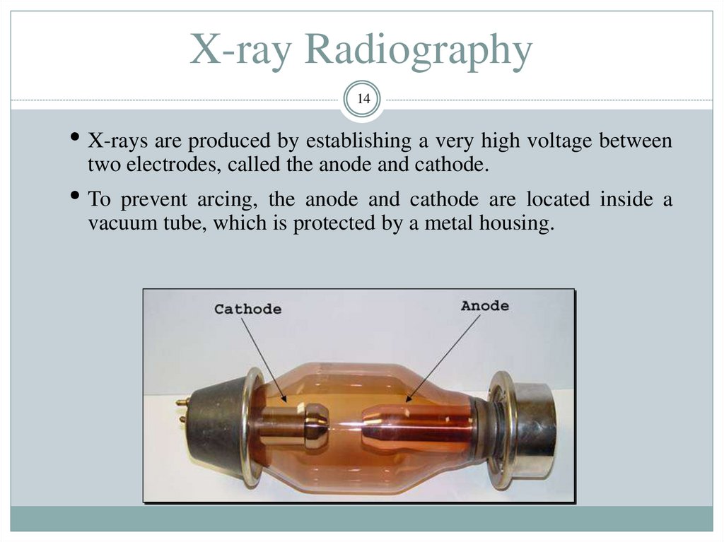 X-ray Radiography