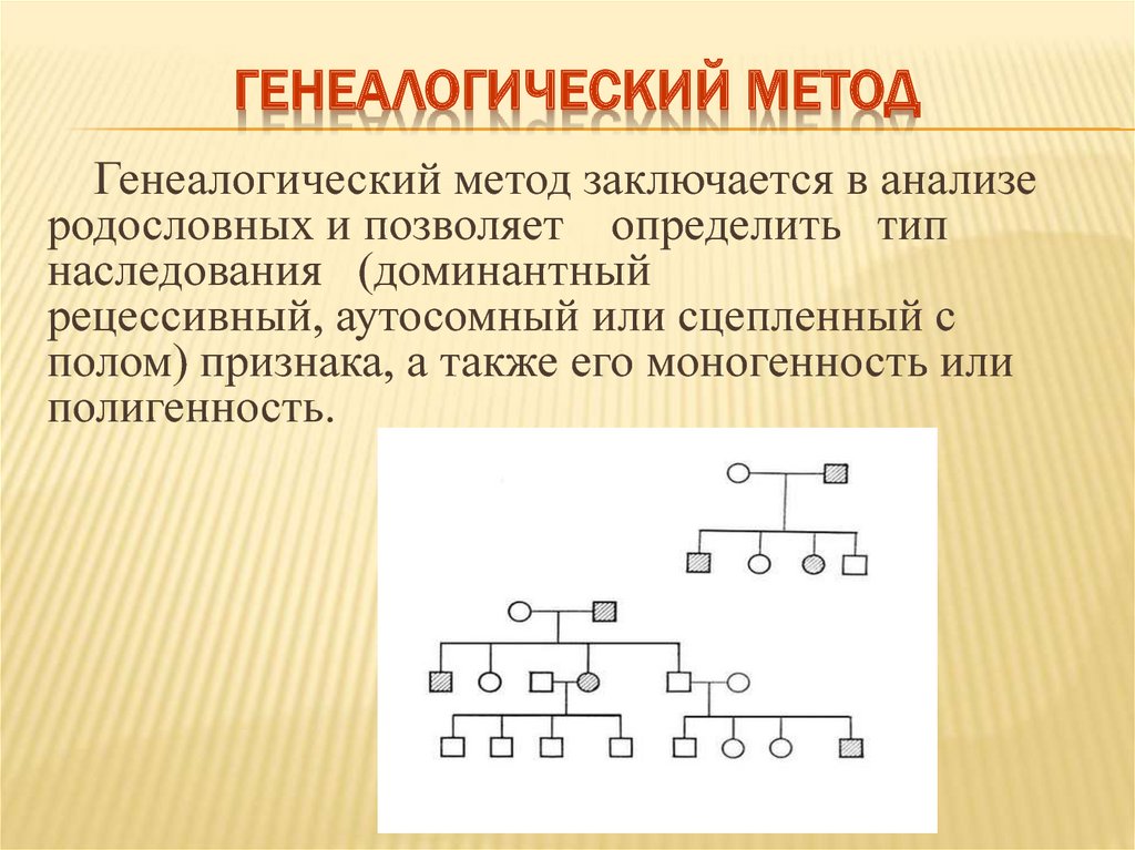 Проект генеалогический метод исследования