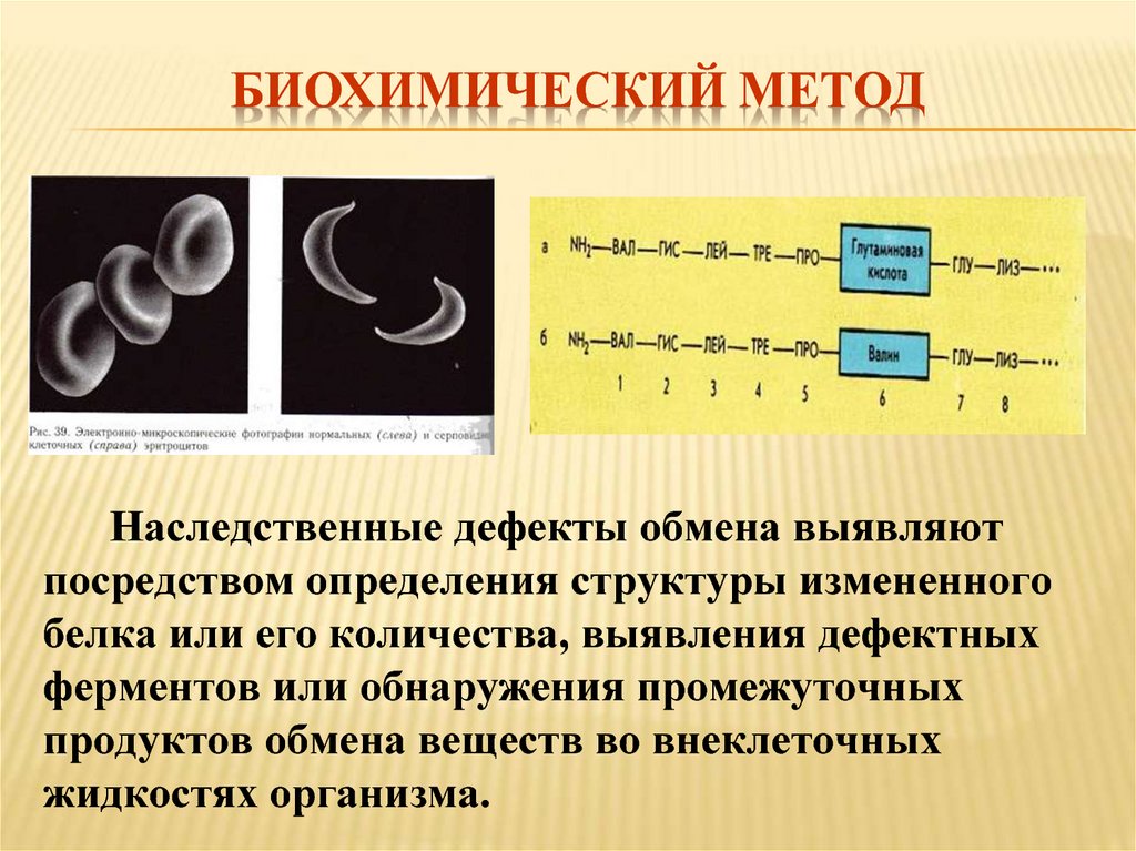 Молекулярно биохимические