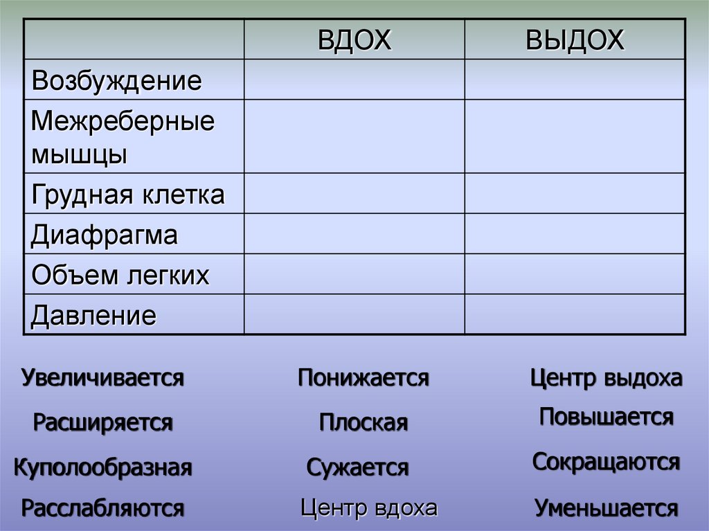 Вдох и выдох таблица. Возбуждение вдох выдох таблица. Сравнение вдоха и выдоха таблица. Дыхательные движения газообмен в легких и тканях. Объем легких вдох выдох таблица.