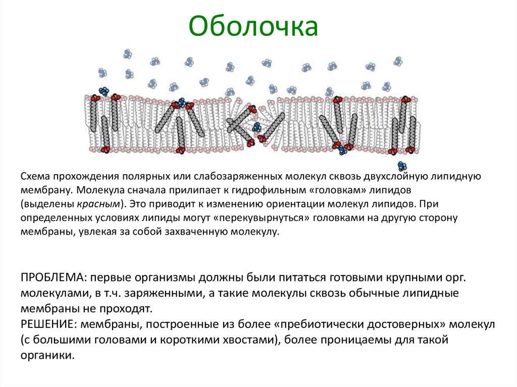 Сопротивление бури прохождение схема