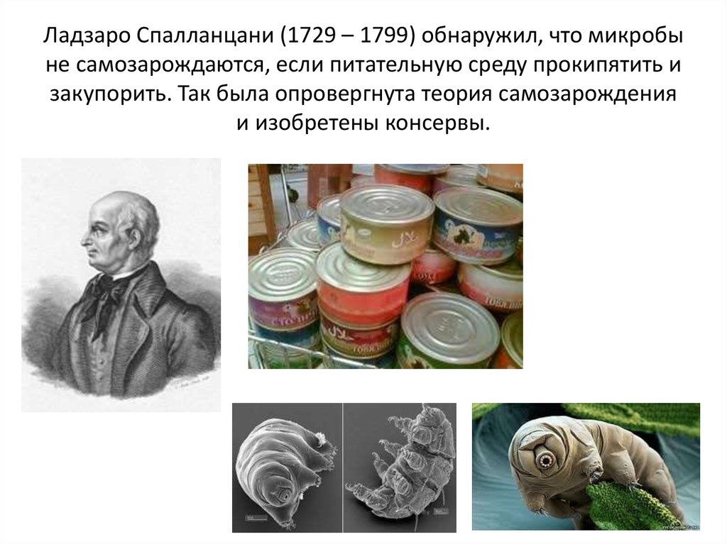Ладзаро Спалланцани (1729 – 1799) обнаружил, что микробы не самозарождаются, если питательную среду прокипятить и закупорить.
